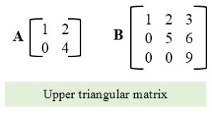 Image result for Upper Triangular Matrix Division