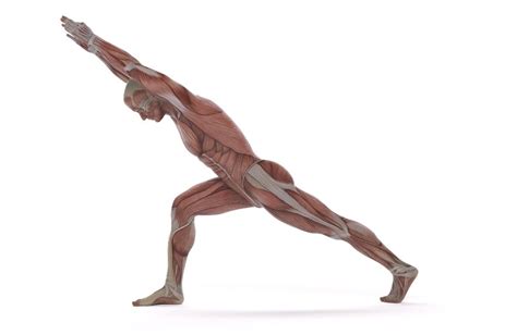 Bulletproof Your Back With These 7 Strengthening Exercises As You Age