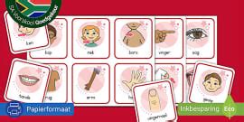 Liggaamsdele Woordmat