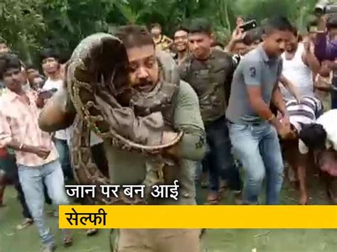 Forest Ranger From West Bengal Poses With Python, Has A Narrow Escape