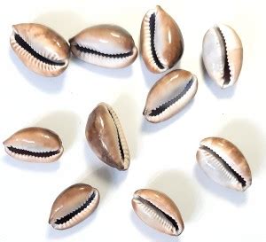 HSP 10 Black Kaudi Showpiece Set. (Pack of 10) Stoneware Yantra Price ...