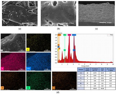 Redox-Enhanced Photoelectrochemical Activity in PHV/CdS Hybrid Film