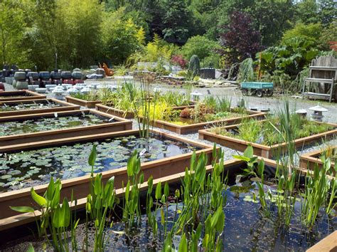 Photo Gallery - Rock Mountain Products