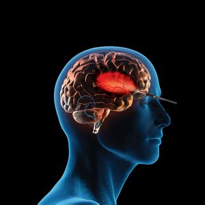 'Aggression, confusion, altered behaviour may signal brain tumour risk ...