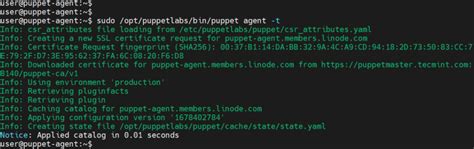 Image result for Puppet Command