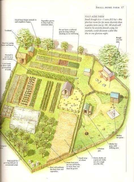 28 Farm Layout Design Ideas to Inspire Your Homestead Dream | Farm ...
