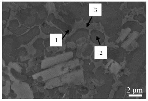 Microstructure and Wear Resistance of Ti6Al4V Titanium Alloy Laser-Clad ...