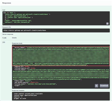 API Authorization Token 的图像结果
