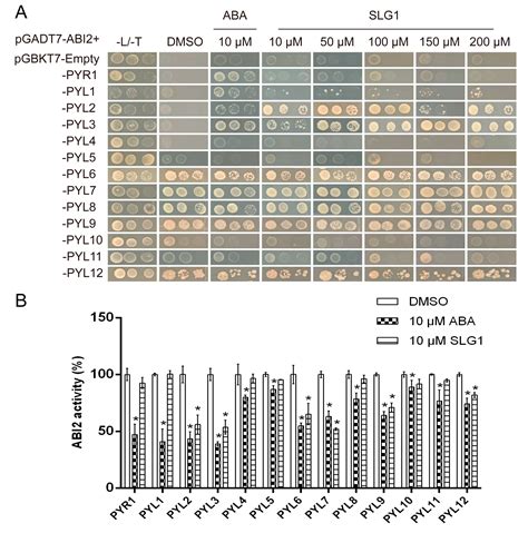 A Potential ABA Analog to Increase Drought Tolerance in Arabidopsis ...