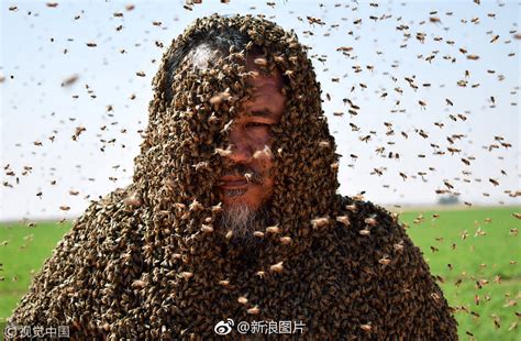 为挑战中国养蜂人，他尝试用身体吸引100公斤蜜蜂..
