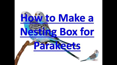 Image result for How Do You Make Nesting Box for Parakeets