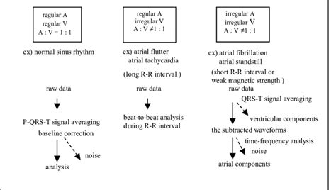 Algorithm for analyzing atrial tachyarrhythmias | Download Scientific ...