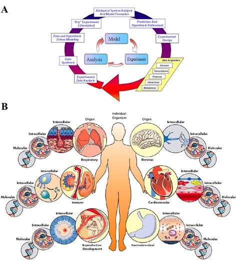 Biological 的图像结果