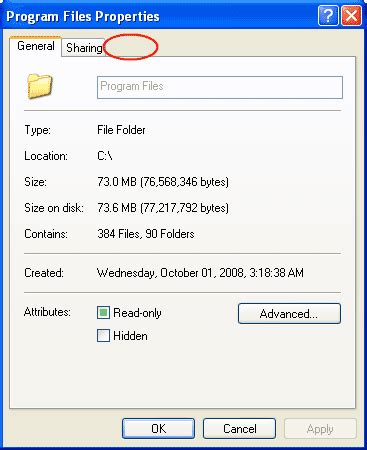 Security Tab Windows 1.0 的图像结果