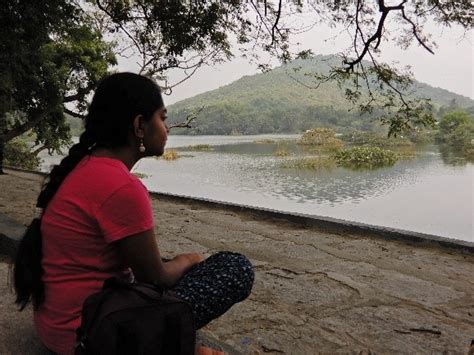 Ethogram of Nilgiri Langur in captivity at Arignar Zoological Park ...