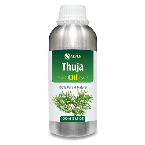 Thuja Essential Oil – Shoprythm
