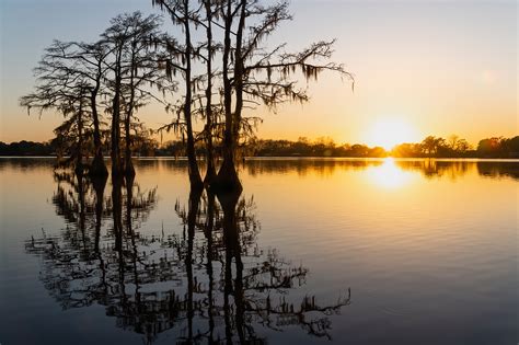 Toledo Bend home to 2 Louisiana State Parks | The Heart of Louisiana