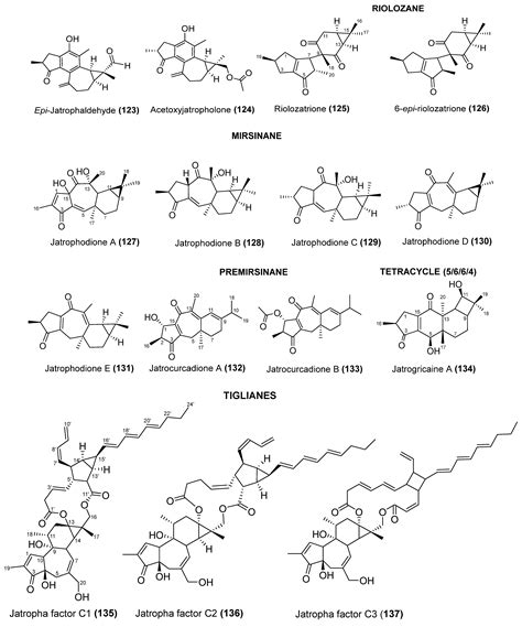 Jatropha Diterpenes: An Updated Review Concerning Their Structural ...