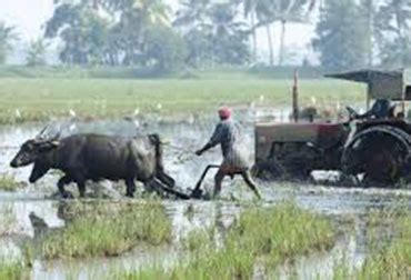 GLOBAL INSTITUTE OF PUBLIC HEALTH (GIPH)