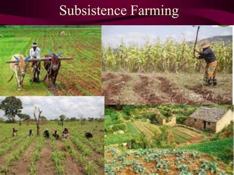 Image result for Types of Farming Methods