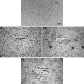 Image result for Microstructure Examination