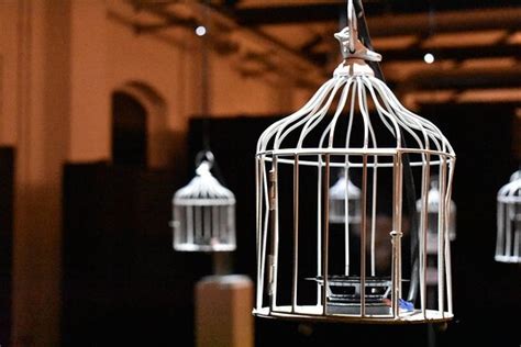 Mostra ILLUSION - Cagliari | Tripadvisor