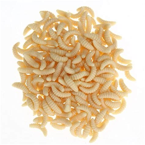 Amazon.in Hot New Releases: The bestselling new and future releases in ...