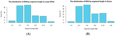 Visualization of Runs of Homozygosity and Classification Using ...