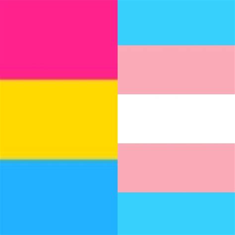 Trans and Pan Flag