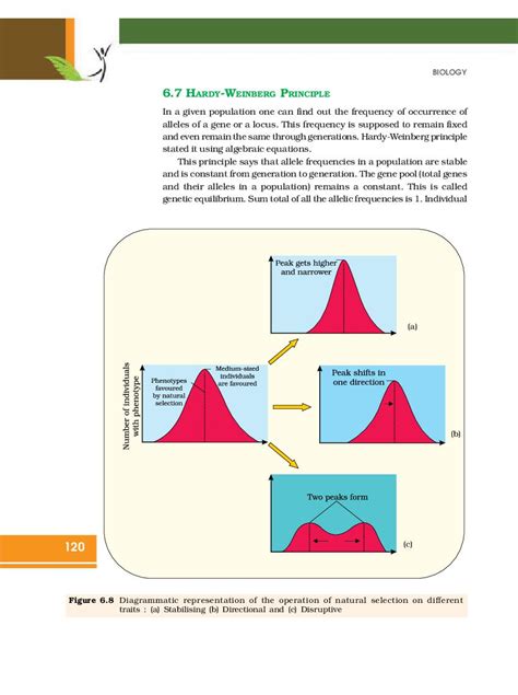 Image result for Class 12 Chapter 6 Evolution