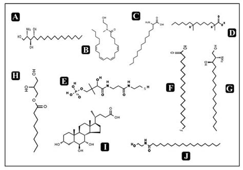 Profiling and Role of Bioactive Molecules from Puntius sophore ...