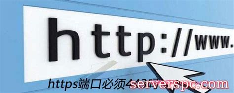 https必须443端口吗?HTTPS和HTTP的区别-服务器评测