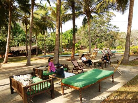 Olaulim Backyards (Goa/Pomburpa) - Lodge Reviews, Photos, Rate ...