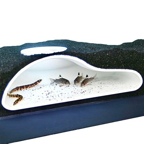 Aquarium Underground Tunnel Cave Natural Curve Viewing Fish And Shrimp ...