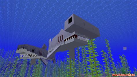 Image result for Minecraft Shark Command Block
