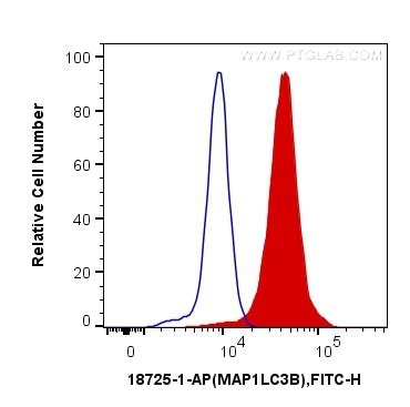 LC3B-Specific antibody (18725-1-AP) | Proteintech
