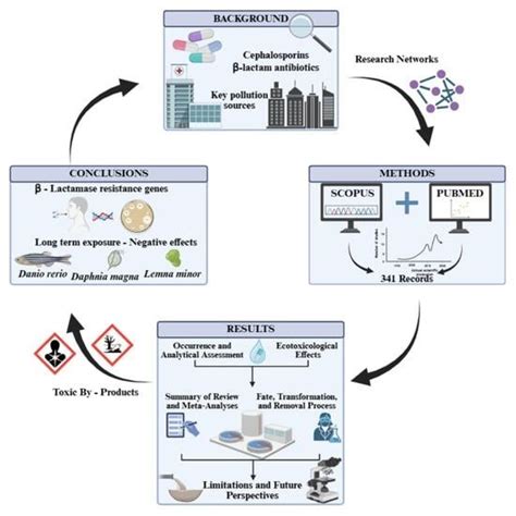 An Overview of the Presence of Cephalosporin Antibiotics in Aquatic ...