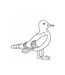 disegno gabbiano disegno di gabbiani da colorare disegni da colorare e disegno gabbiano disegno di gabbiani da colorare disegni da colorare e