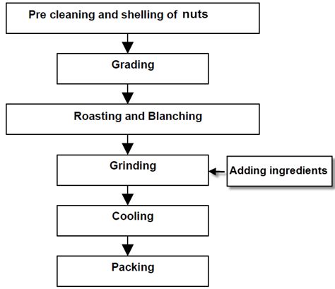 Cashew Processing Process