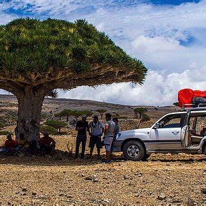 SOCOTRA NIGHTS (2026) All You Need to Know BEFORE You Go (with Photos ...