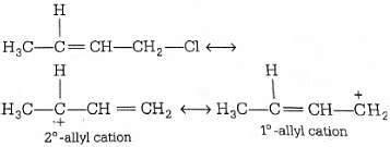 NEET Previous Year Questions (2014-2025): Organic Chemistry - Some ...