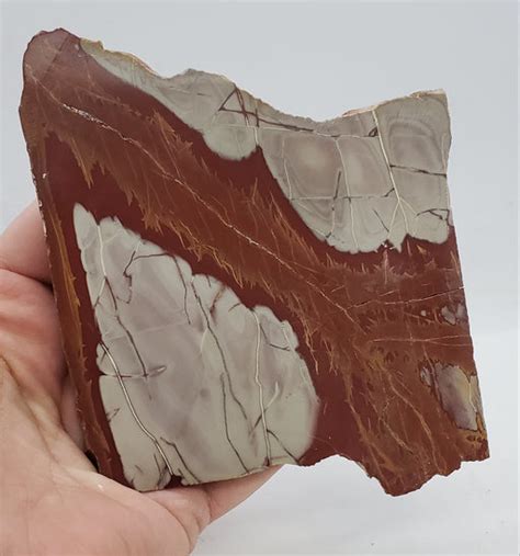 Lapidary Slabs 的图像结果