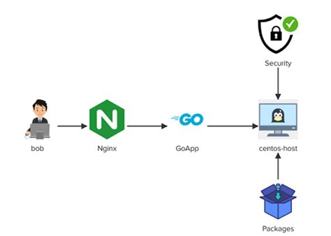Linux Challenge 2 solution - Install Nginx server, configure Nginx as a ...