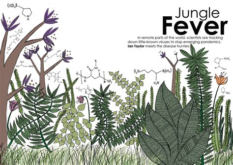EttaLucy Illustration: Jungle Fever