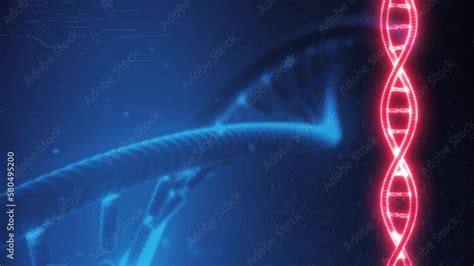 Image result for Reading DNA Animation