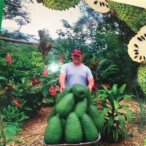 CITY HOUSE A GALLIPOLI NEL SALENTO - Lodging Reviews & Photos - Tripadvisor