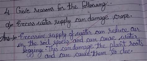 GIVE REASON: Excess water supply can damage - Brainly.in