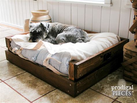 Bed For Dogs Diy at Jeremy Burris blog
