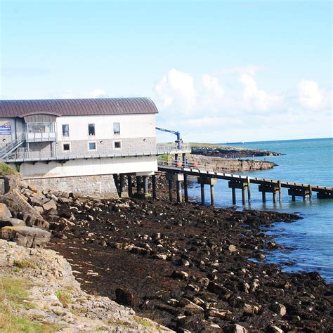 MOELFRE BEACH - All You Need to Know BEFORE You Go 2026 (with Photos ...