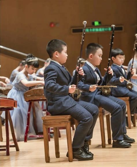 Image result for Chinese Stringed Instruments